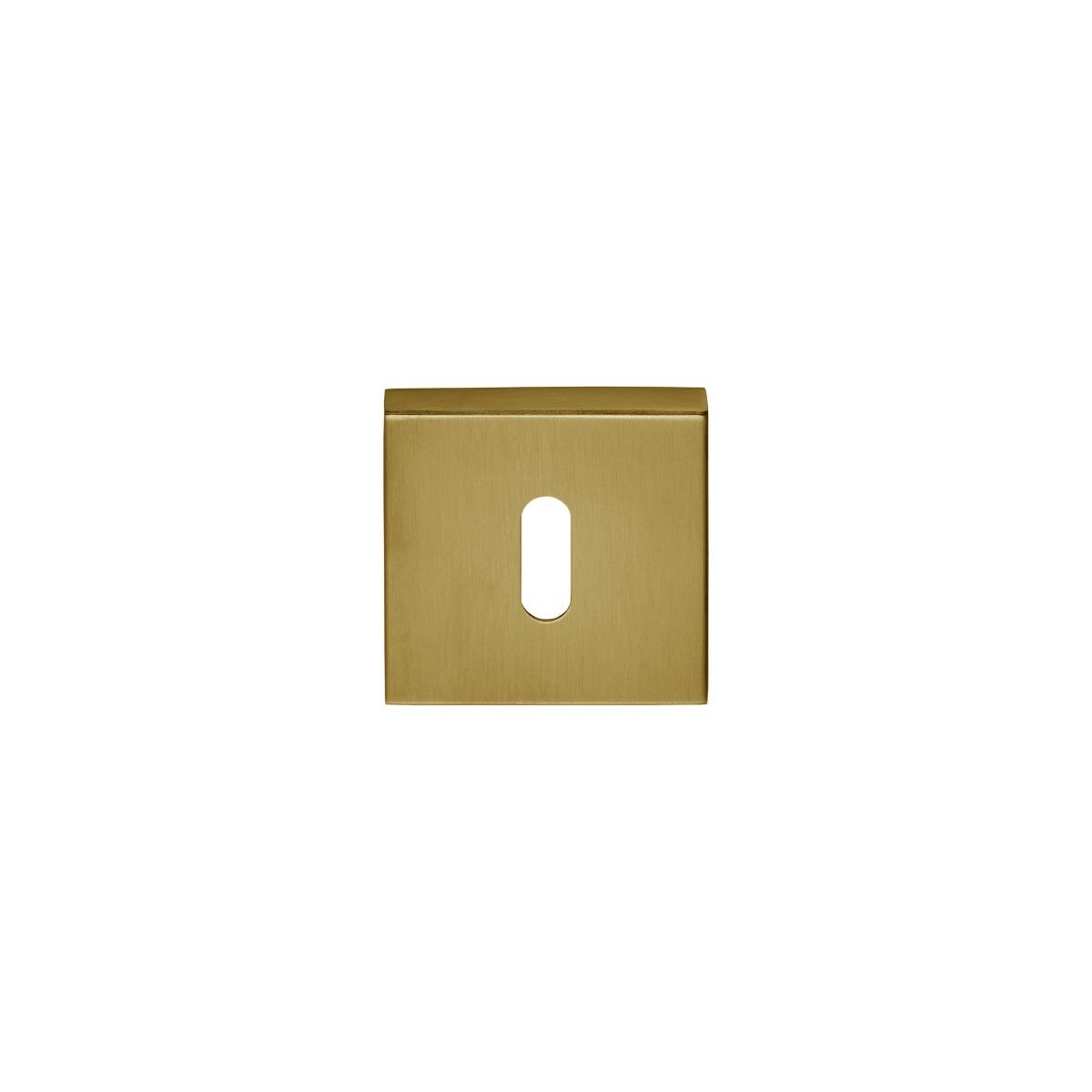 BB rosette Formani BASICS BSQN53