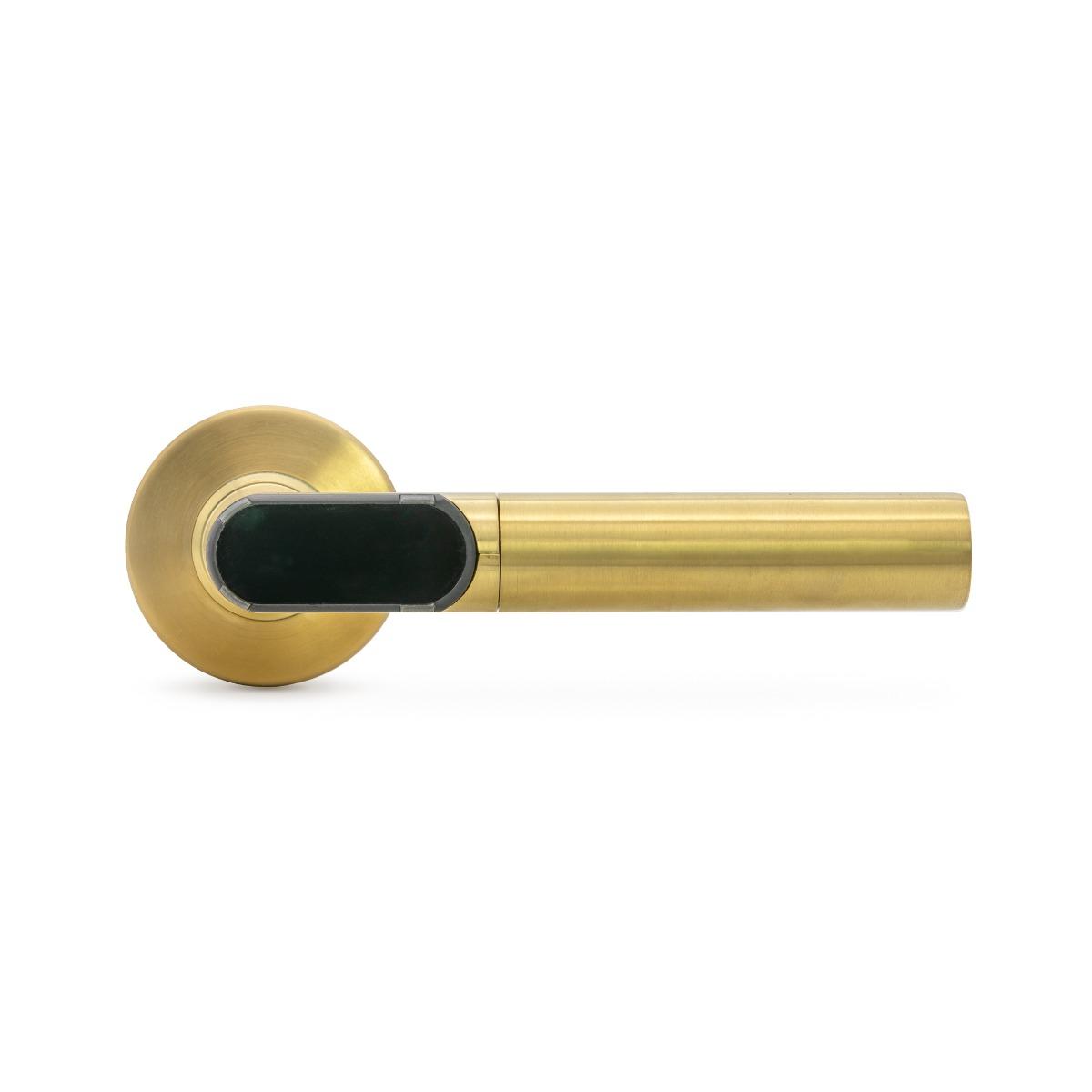 BLE locking handle