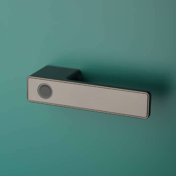 Door handle APRILE ASG MAHONIA RTH