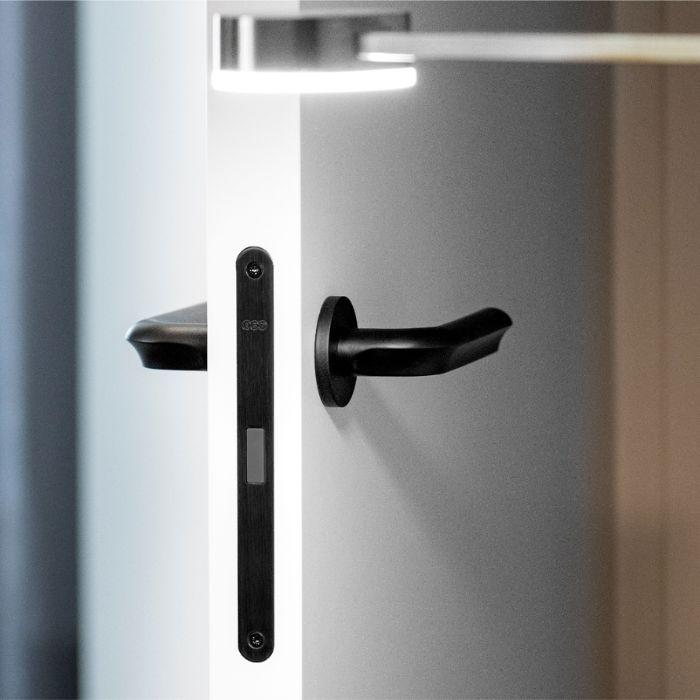 Door handle Formani ECLIPSE DR100-G