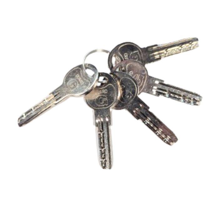 Profile cylinder Guard G100