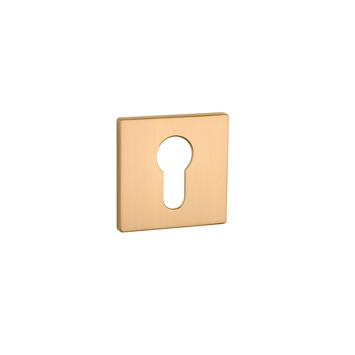 PZ rosette Aprile PZ AS Q5S