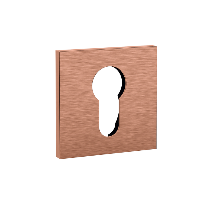 PZ rosette JNF IN.04.QPZ.05N.