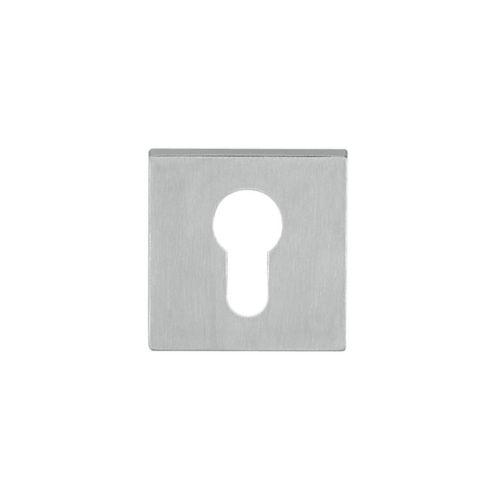 PZ rosette Tupai 3049