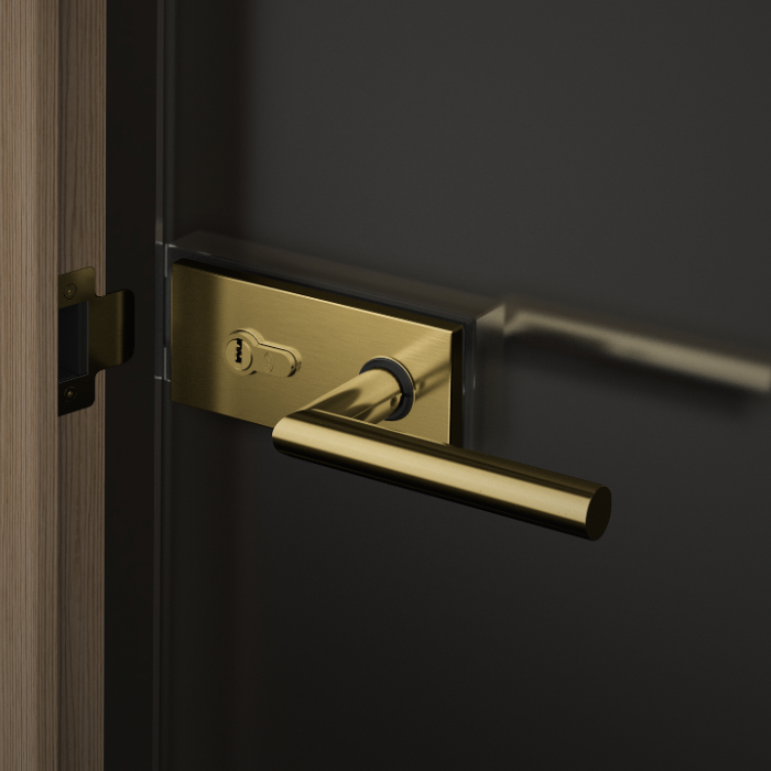 Reversible and adjustable strike plate JNF IN.20.364.